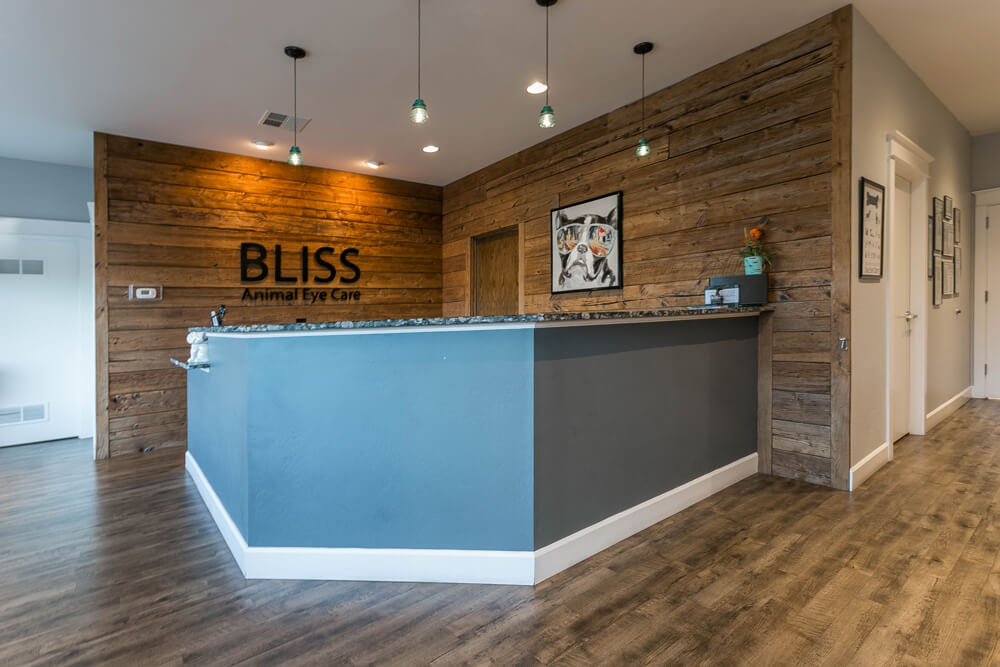 upgraded reception area and lobby by licensed commercial builders